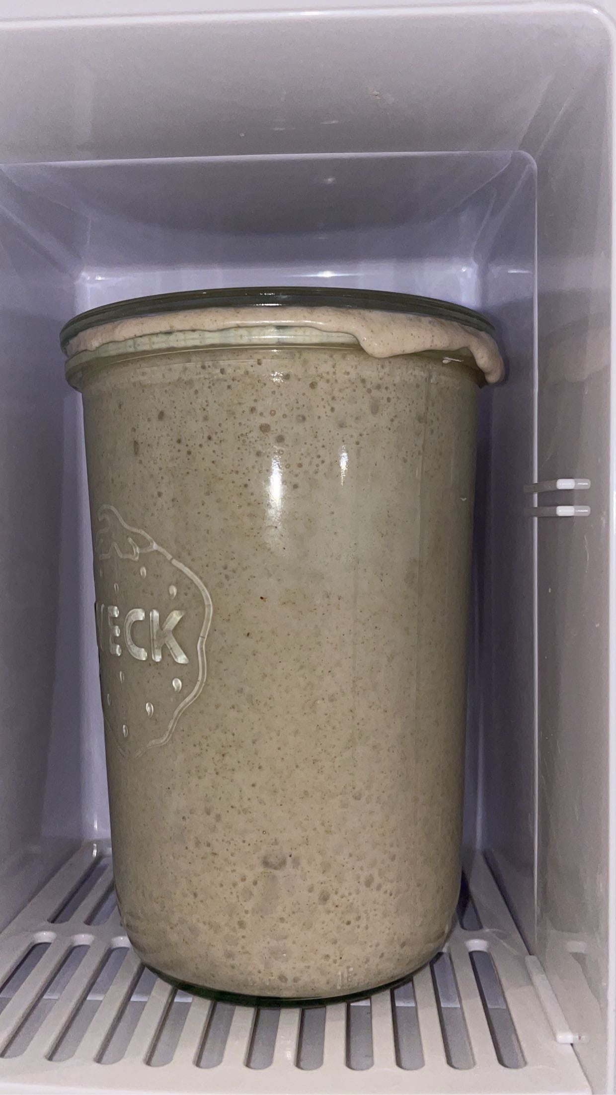 Fresh Sourdough Starter